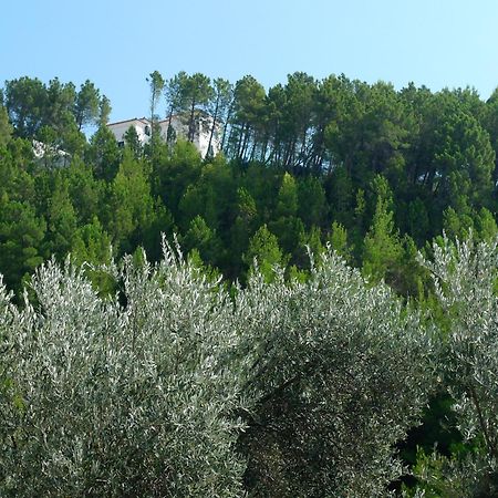 Apartments Maslina Sveti Stefan Ngoại thất bức ảnh