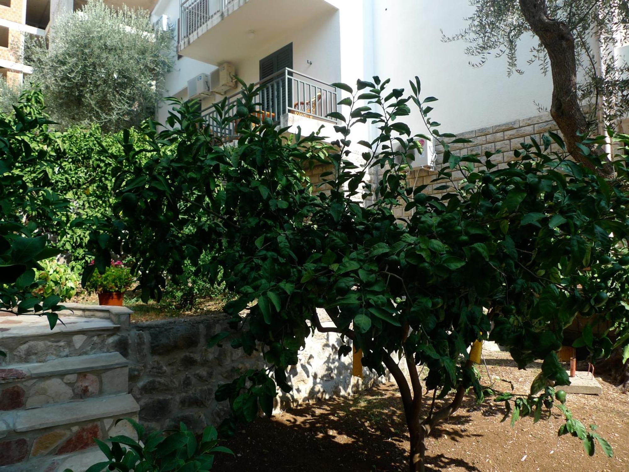 Apartments Maslina Sveti Stefan Ngoại thất bức ảnh